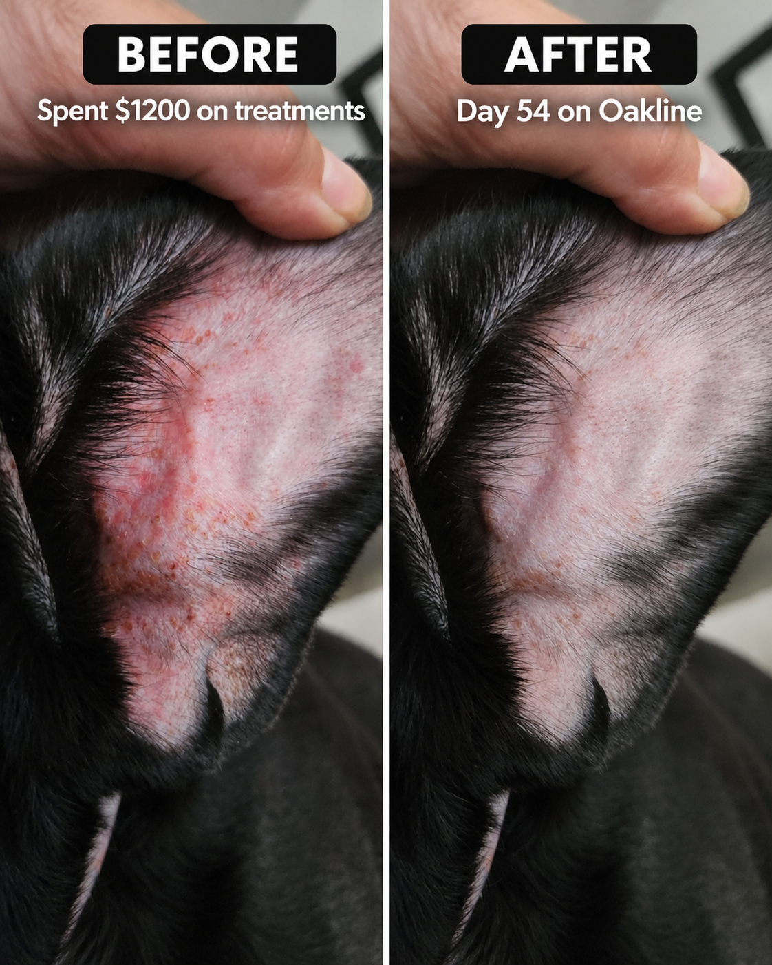 Oakline Premium Liquid Collagen